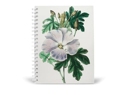 Art to Doors | Gentle Beauty | Spiral Notebooks | A5 Size Paper | 120 Pages | 70 GSM Paper | Attractive Cover Designs