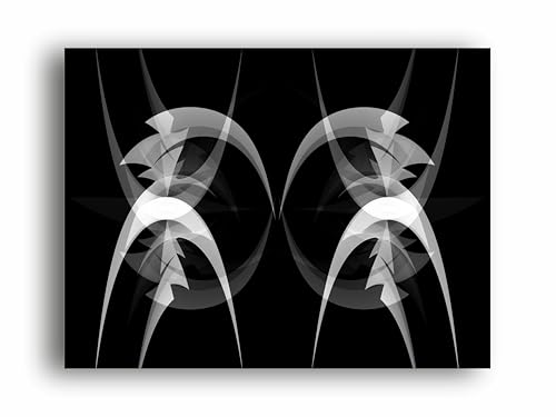 Art to Doors | Curves In Black And White | Artist Filomina Pawar | Horizontal | Art Prints | Home Decor | Wall Decor | Gift Items | Wall Art