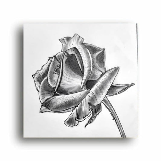 Art to Doors | Pencil Sketch - Rose | Square | Artist Vinith Vijayan | Home Decor | Wall Art | Gifts for Women | Gifts for Men | Canvas Frame