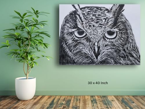 Art to Doors| Pencil Sketch Owl | Artist Vinith Vijayan | Rectangle | Art Print | Home Decor | Wall Decor | Gift Items | Canvas Frame