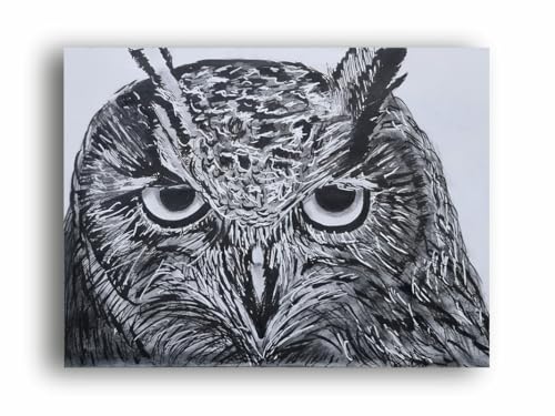 Art to Doors| Pencil Sketch Owl | Artist Vinith Vijayan | Rectangle | Art Print | Home Decor | Wall Decor | Gift Items | Canvas Frame