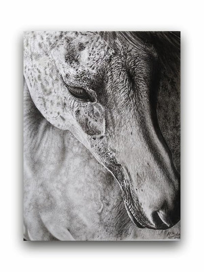 Art to Doors| Horse - 2 | Artist Patel Mahendra Babar | Rectangle | Art Print | Home Decor | Wall Decor | Gift Items | Canvas Frame