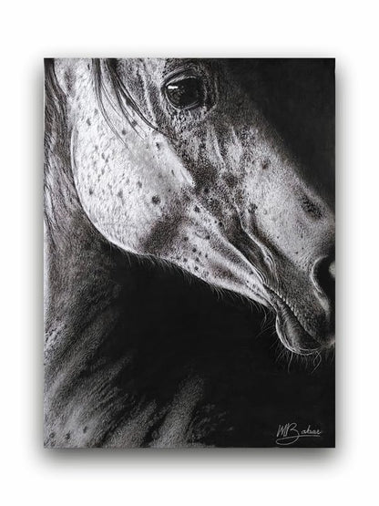 Art to Doors| Horse | Artist Patel Mahendra Babar | Rectangle | Art Print | Home Decor | Wall Decor | Gift Items | Canvas Frame