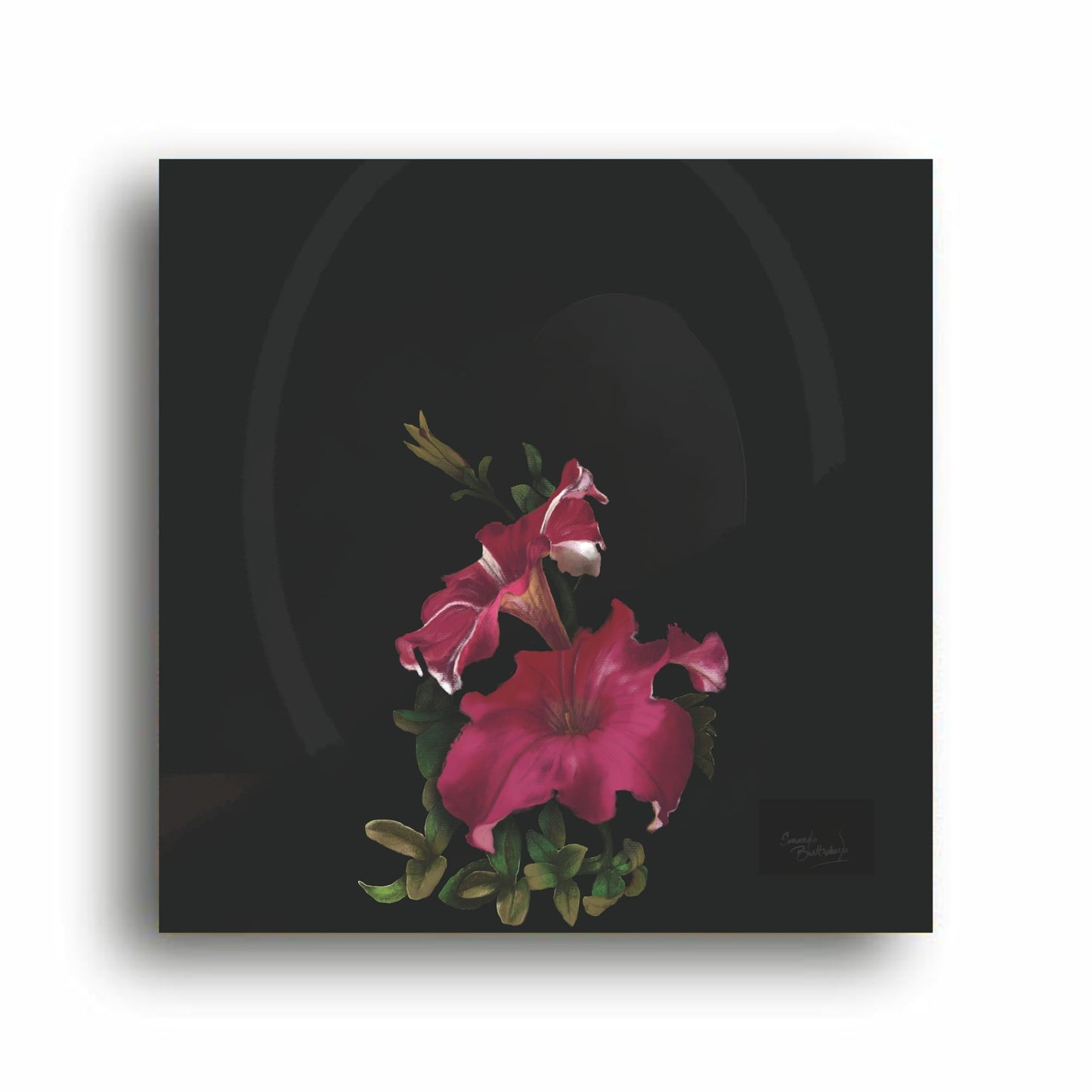 Art to Doors | Petunia Blooming | Artist Sanando Bhattacharjee | Square | Art Print | Home Decor | Wall Decor | Gifts for Women | Gifts for Men | Wall Art