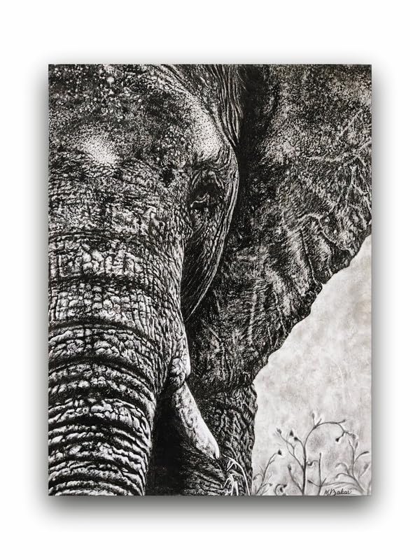 Art to Doors| Elephant | Artist Patel Mahendra Babar | Rectangle | Art Print | Home Decor | Wall Decor | Gift Items | Canvas Frame