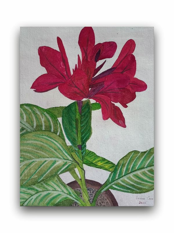 Art to Doors| Red Canna Lily | Artist Lovina Cano | Rectangle | Art Print | Home Decor | Wall Decor | Gift Items | Canvas Frame