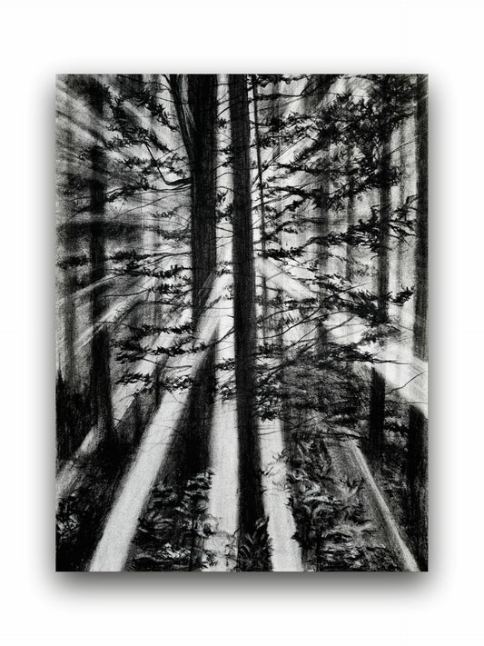 Art to Doors | Forest Light | Artist Fatima Akhun | Vertical | Art Print | Home Decor | Wall Decor | Gifts for Women | Gifts for Men | Gift Items | Wall Art